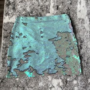 Zara Sequin Skirt